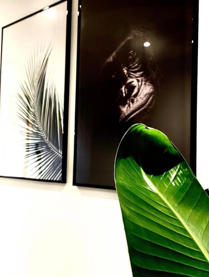 Jungle Garage Prive Netflix Daire Saint-Etienne  Dış mekan fotoğraf